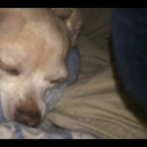 Meet your Posher, Amber